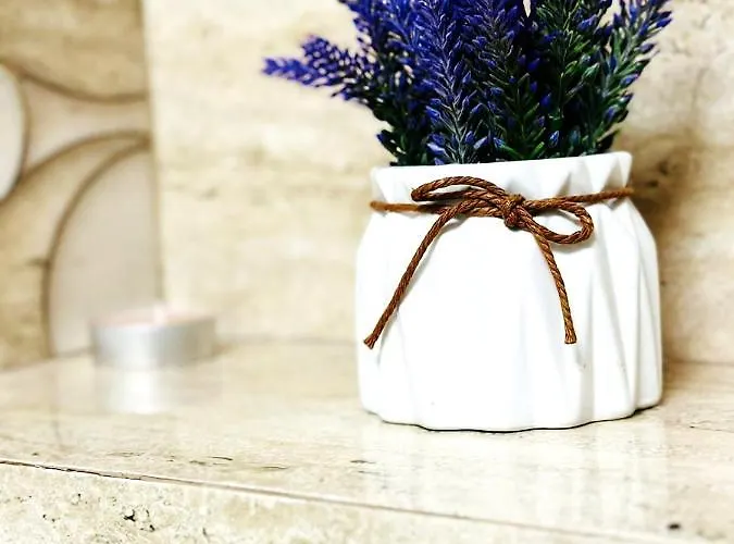 Apartament Apartamente&studiouri Jolie