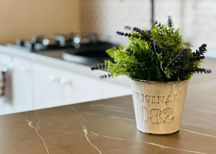 Apartamente&studiouri Jolie Apartament